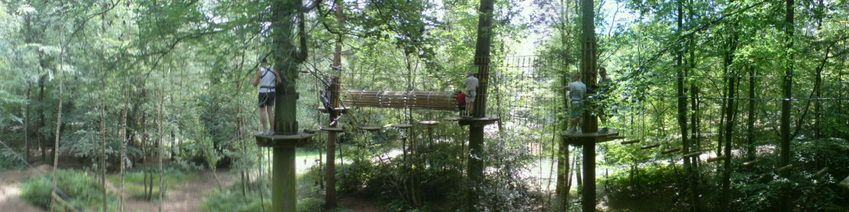 Panorama of Go Ape Course