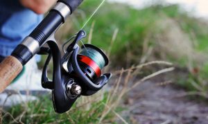 The best fishing rod