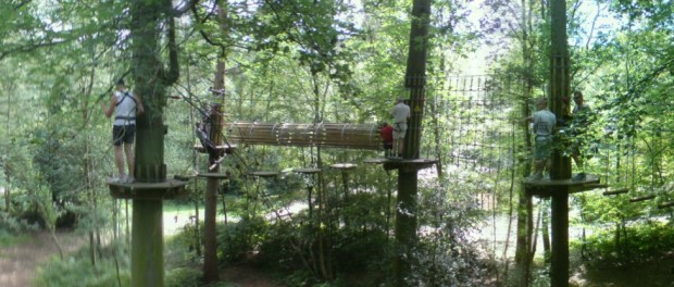 Panorama of Go Ape Course