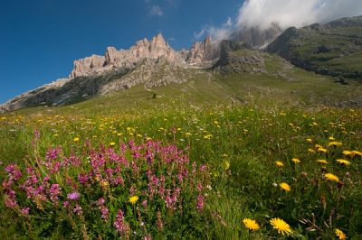Dolomite Adventure Travel In Summer