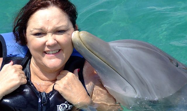 Dolphin kissing a woman swimming with dolphins