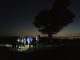 Eynsford Running Club by One tree at Lullingstone in Kent