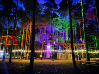 Wonderful lighting at Go Ape Sundowner sessions